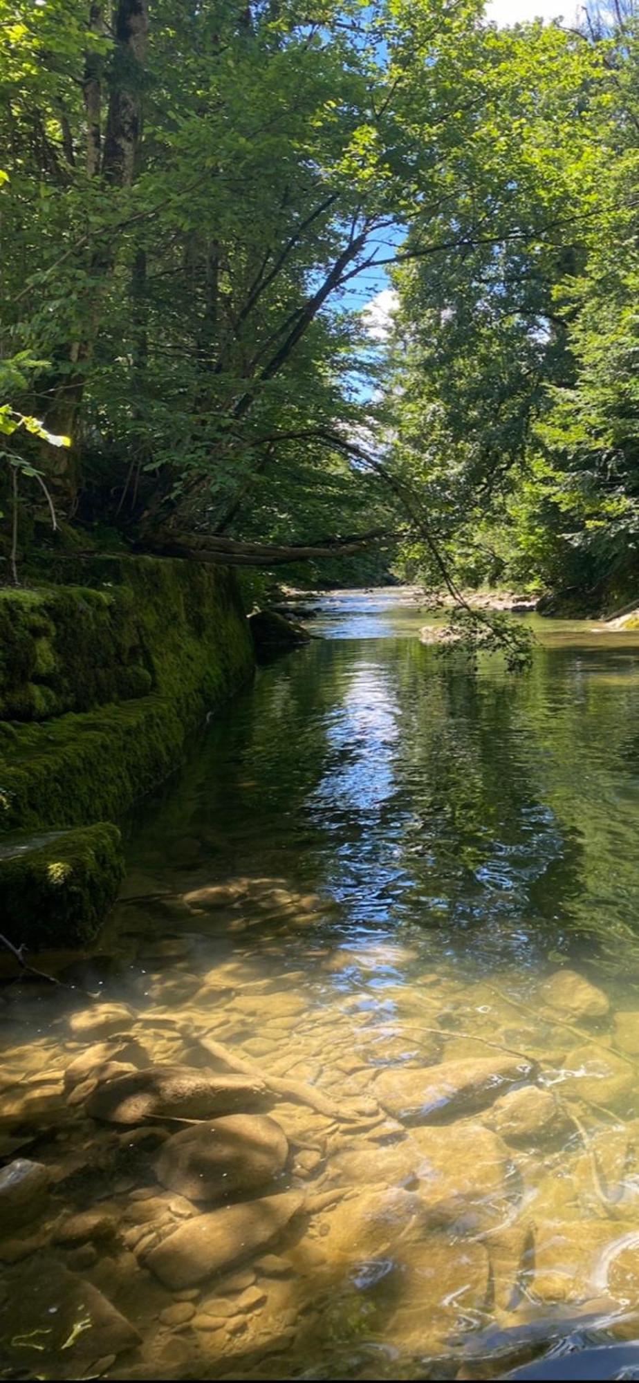 Villa Zur Schneidemuehle Oberstaufen Esterno foto